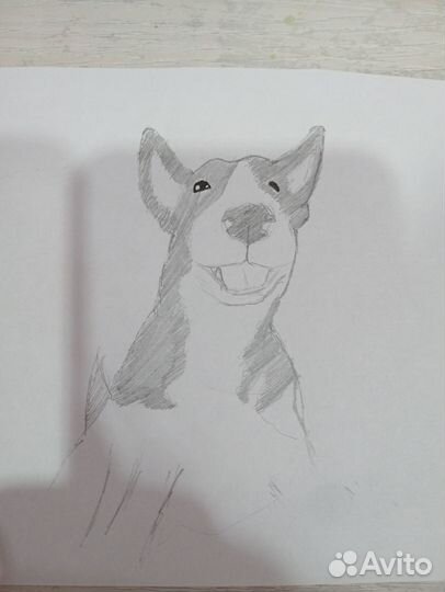 Рисую ваших питомцев