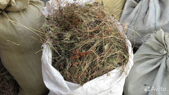 Сено луговое в мешках