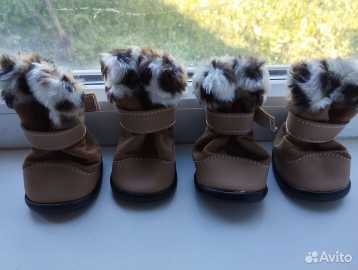 Обувь для собак