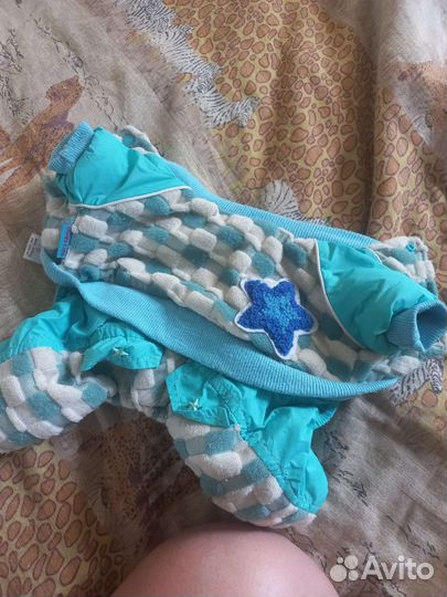 Одежда для маленьких собак