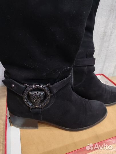 Сапоги женские демисезонные