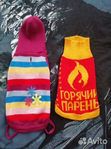 Одежда для собак