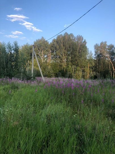 Участок 8,1 сот. (ИЖС)