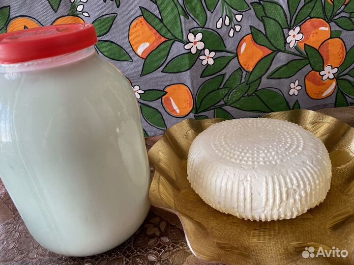 Продам козье молоко и сыр