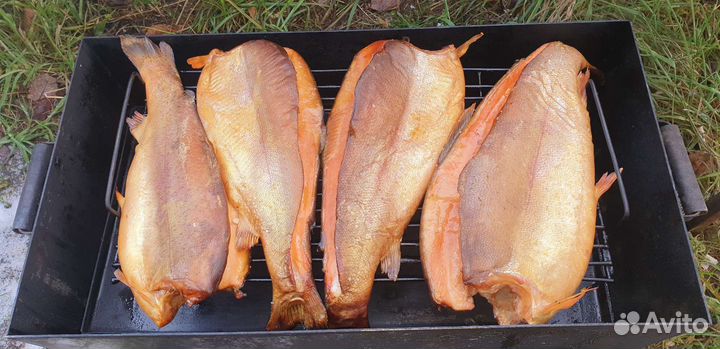 Форель холодно и горячего копчения