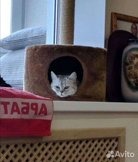 Домик для кошки