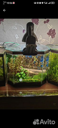 Аквариум 10 литров