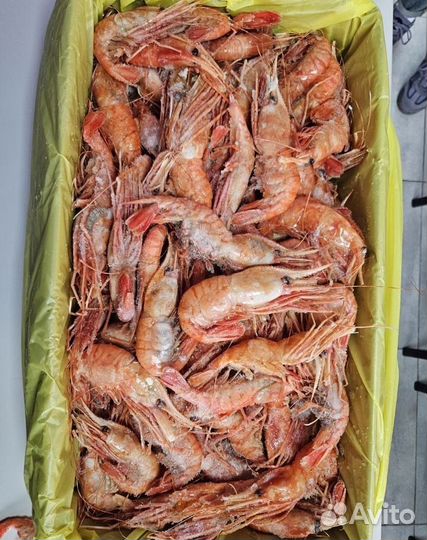 Креветка Ботан Крупный Оптом