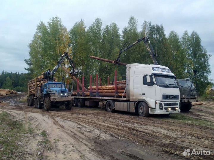 Грузоперевозки