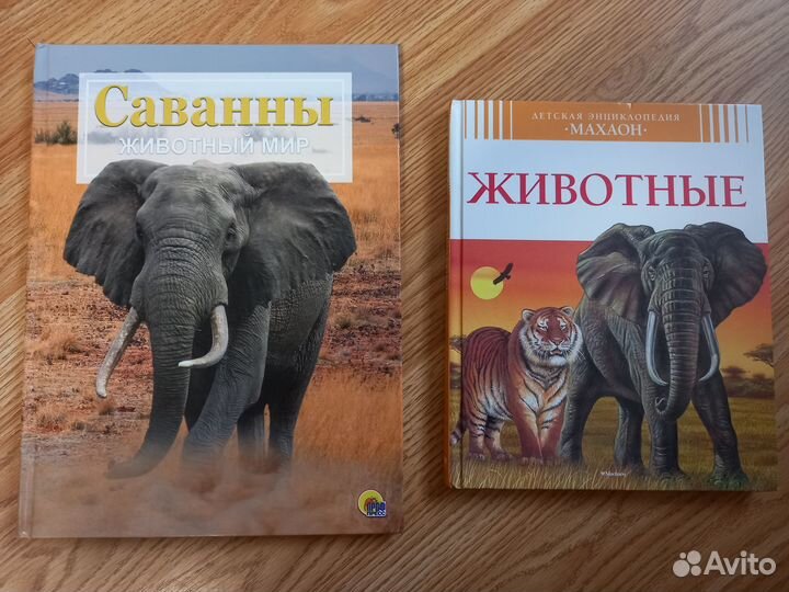 Детские музыкальные книги, энциклопедии