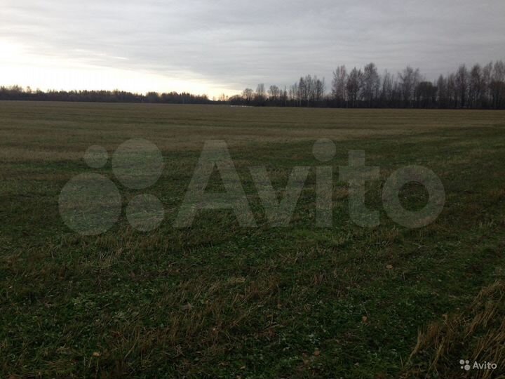 Участок 14,5 га (СНТ, ДНП)