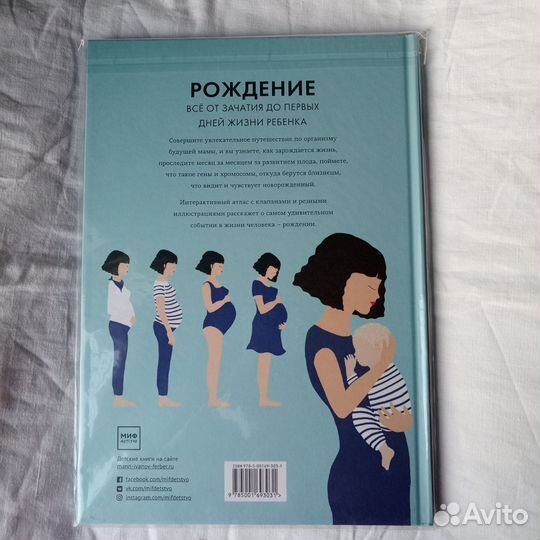 Элен Дрювер Рождение Атлас