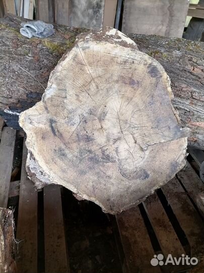 Дуб слэбы, срезы, спилы, доски