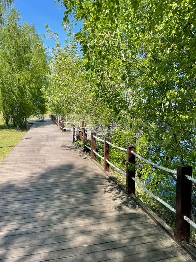 Участок 14,7 сот. (ИЖС)