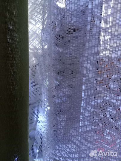 Передержка кошек/ котов