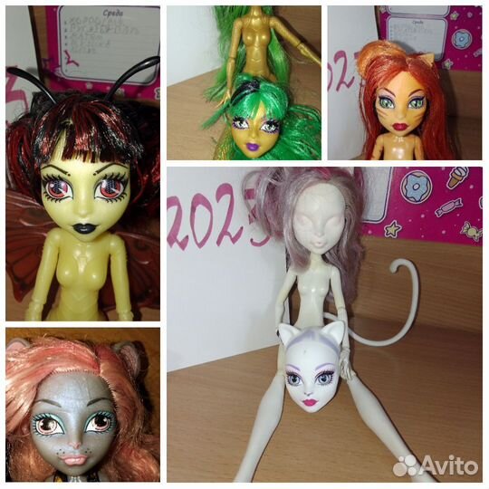 Кукла Монстер Хай мауседес, Тора, луна, джина