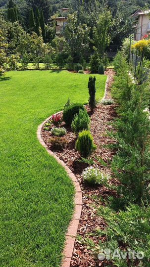 Кора для мульчирования