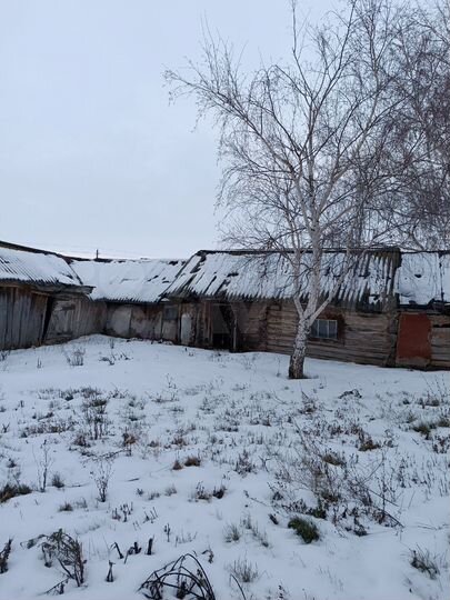 Дом 58,8 м² на участке 60 сот.