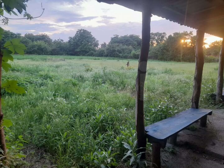 Дом 39 м² на участке 25 сот.