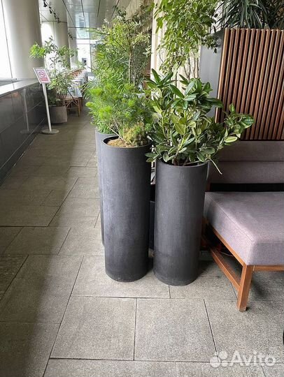 Кашпо из бетона с доставкой