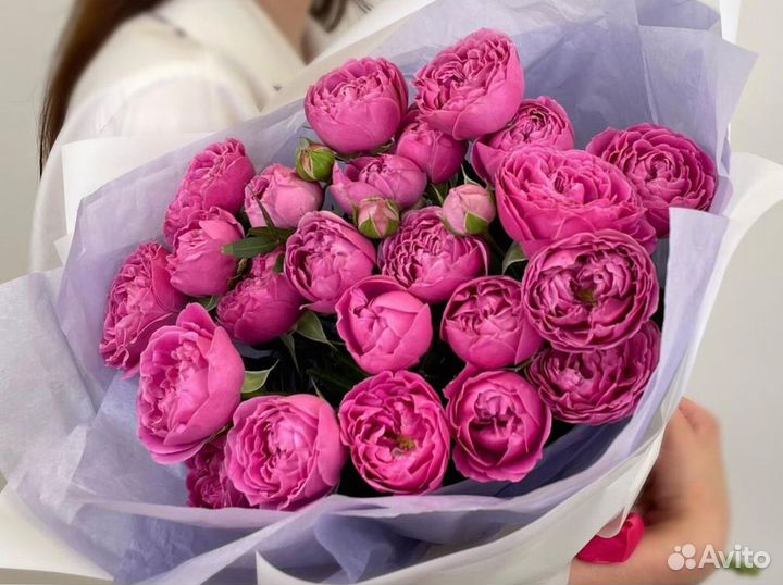 Букет из 33 пионовидных роз