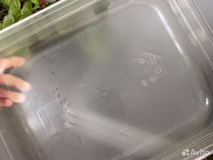 Гастроемкость поликарбонат 1/2