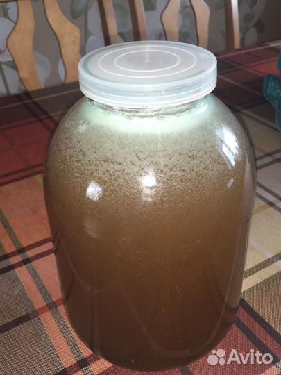 Мед липовый