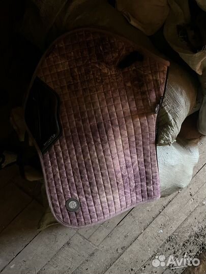 Конная амуниция бу