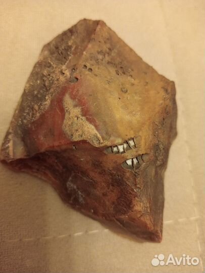 Камень в коллекцию с окаменелостями-зубками