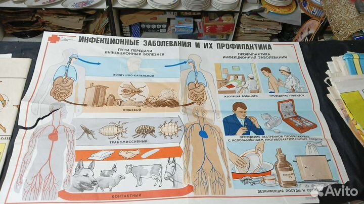 Плакаты по гигиене человека СССР