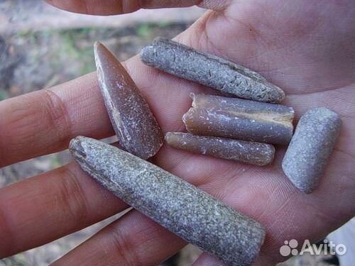 Чертов палец (Белемнит)