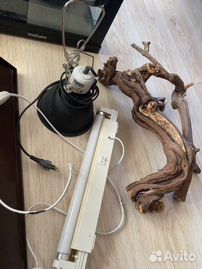 Террариум для рептилий