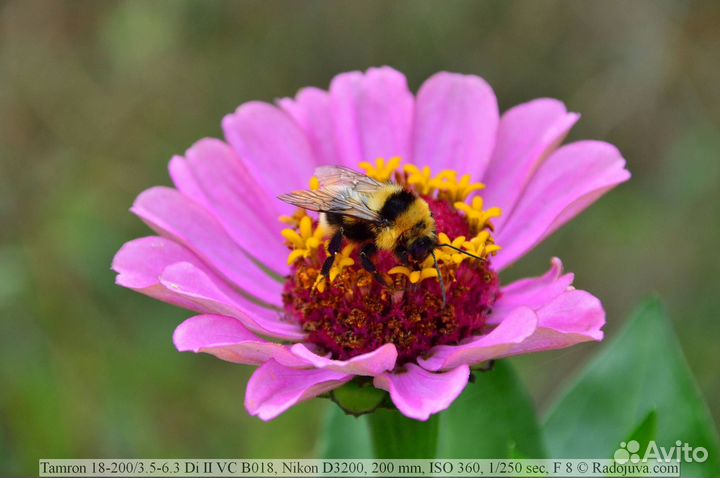 Tamron 18-200 для никон F