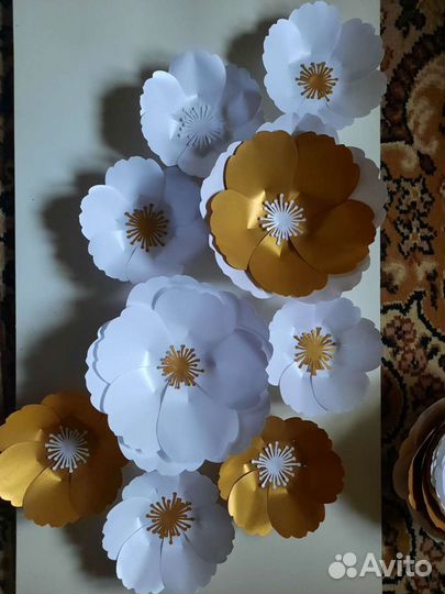 Интерьерные цветы