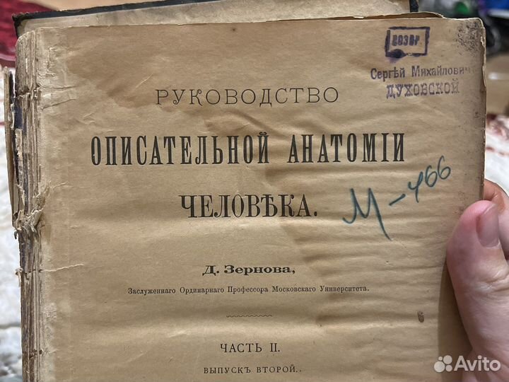 Зернов Руководство описательной анатомии человека