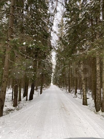 Участок 24 сот. (СНТ, ДНП)