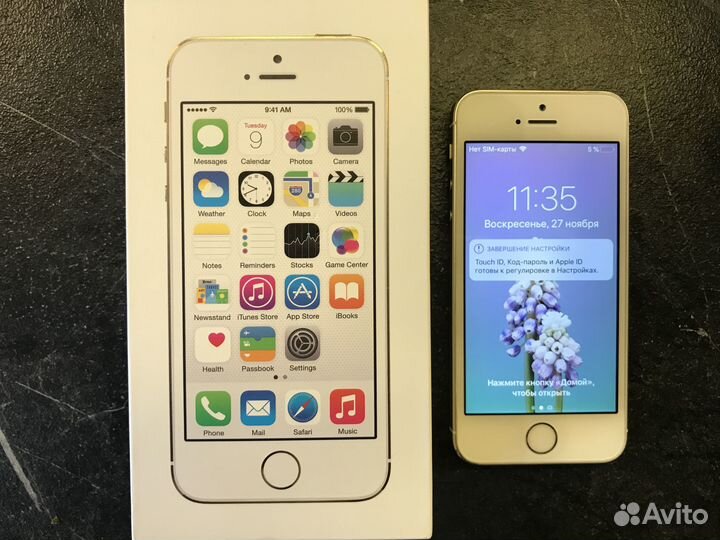 iPhone 5 s