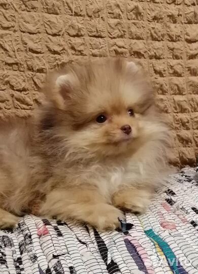 Мальчики и девочки