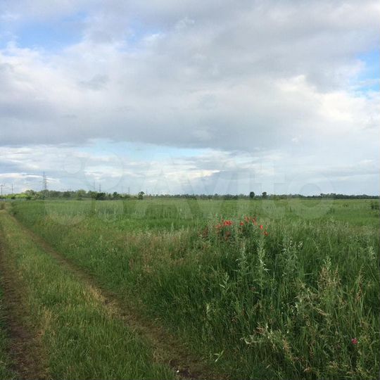 Участок 2 га (СНТ, ДНП)