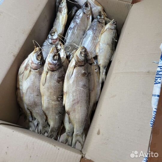 Азовская тарань