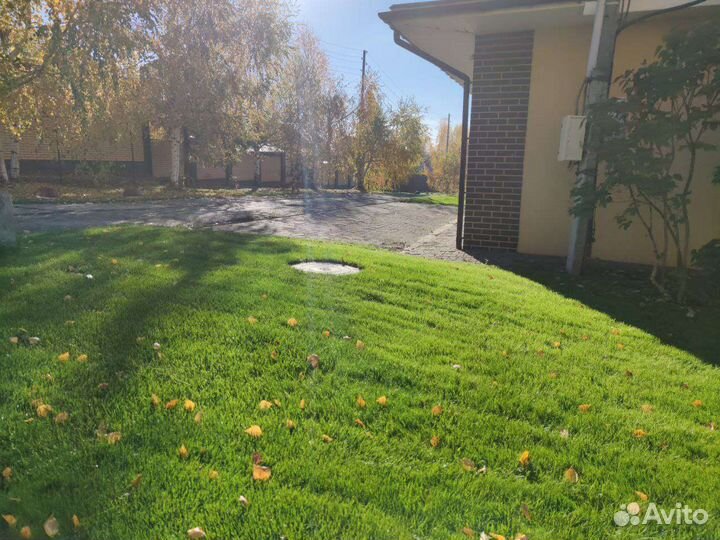 Газон под ключ