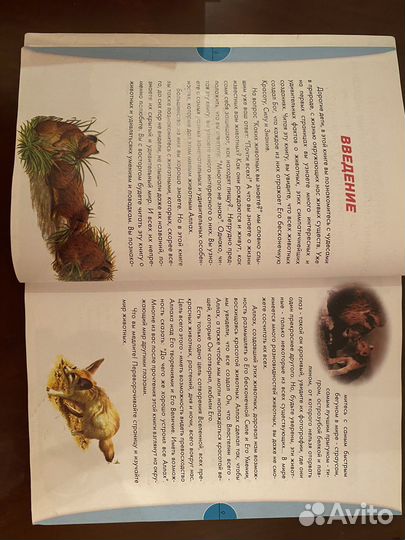 Мир животных