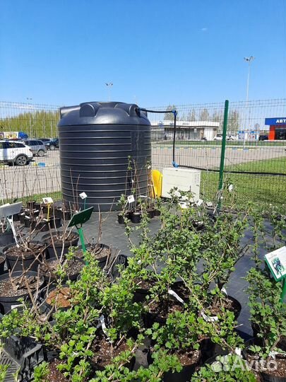 Бочка пластиковая 3000 л для воды полив