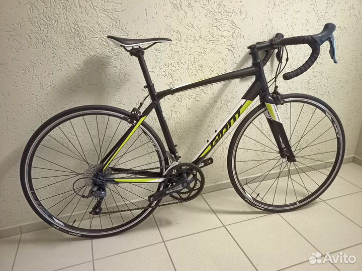 Giant Contend 2