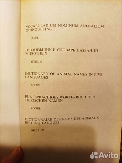 Словарь названий животных. Птицы. 5 языков