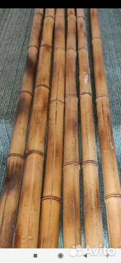 Ствол бамбука