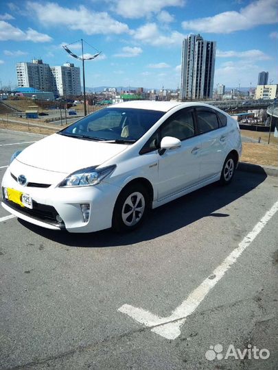 Пассажирские перевозки по городу и краю