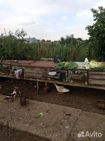 Продается клетка для кроликов