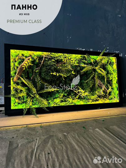 Картина из мха в черной раме на подарок