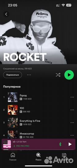 Spotify premium/Apple Music TR